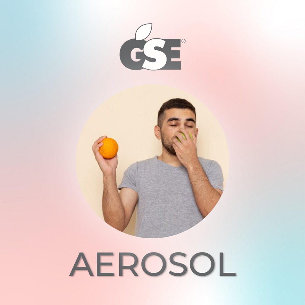 gse aerosol